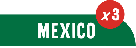 Mexican Style Lager from the Pitch Mix variety pack from Four Corners Brewing Co.
