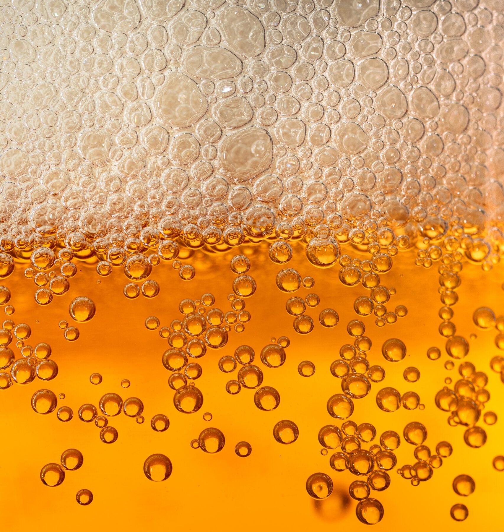 Extreme close-up of golden beer carbonation bubbles rising through amber liquid toward a white foam head, shot for Four Corners Brewing Co.'s Local Buzz Honey-Rye Golden Ale.
