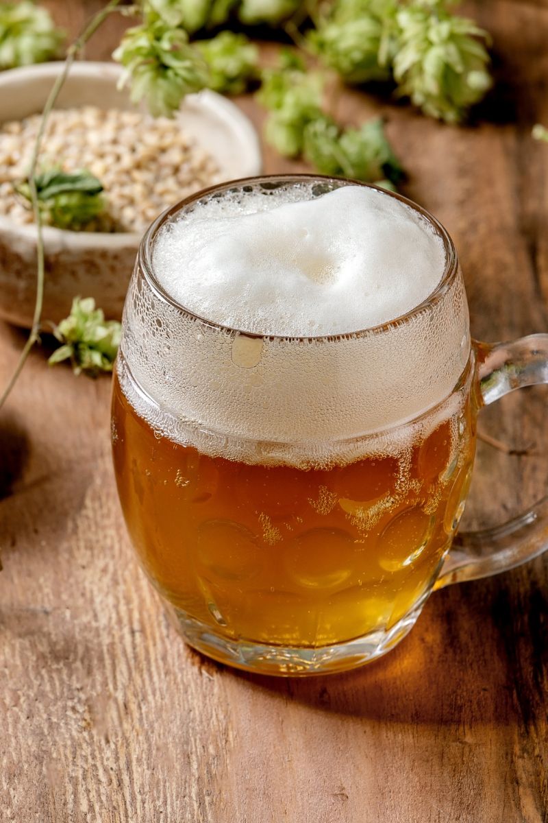 Glass beer mug filled with golden ale with a frothy head, surrounded by fresh hops and grain on a rustic wood surface