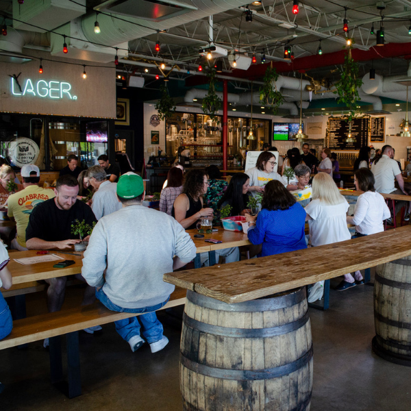 VectorBrewing_Taproom